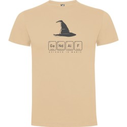 Camiseta Gandalf