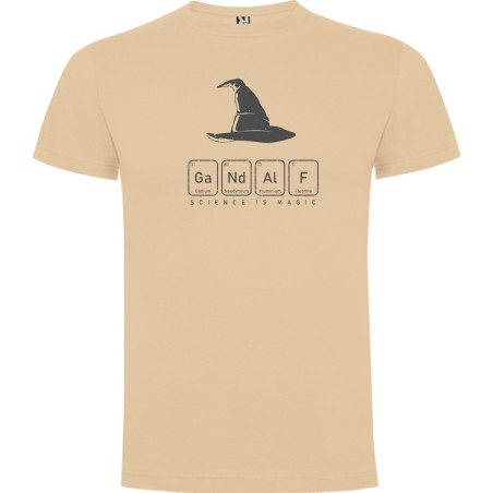CAMISETA GANDALF